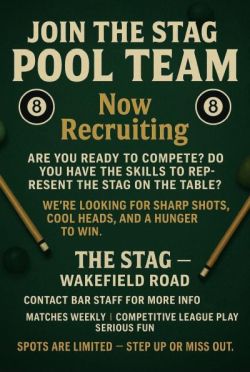 pool team at the stag